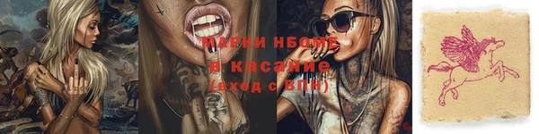 шишки Алексин