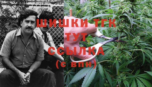 шишки Алексин