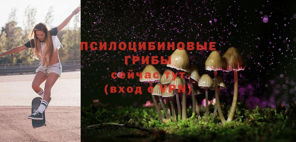 spice Алексеевка
