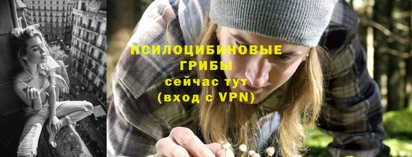 СК Алзамай