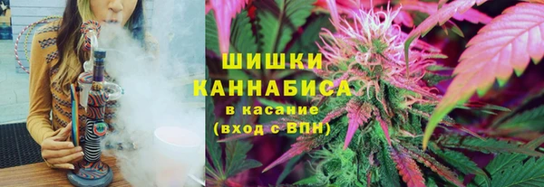 СК Алзамай