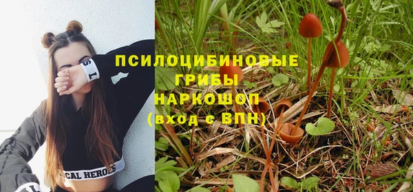 spice Алексеевка